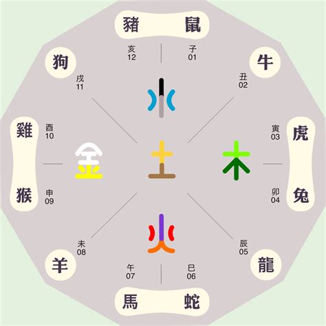 珊 五行|珊字的五行属性是什么